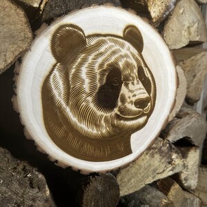 Plaque Bois Gravée Brûlée – Tête De Raton Laveur Dans Arbre – Sculpture Murale