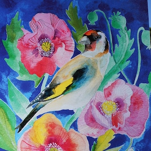 Bird Wall Art, Goldfinch And Poppies A4 Print