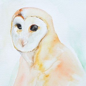 Owl Painting, Portrait Watercolour Painting,