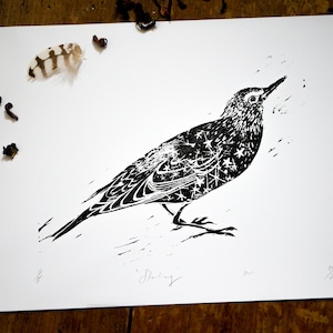 Starling Linocut Print: Starry Bird Wildlife Art