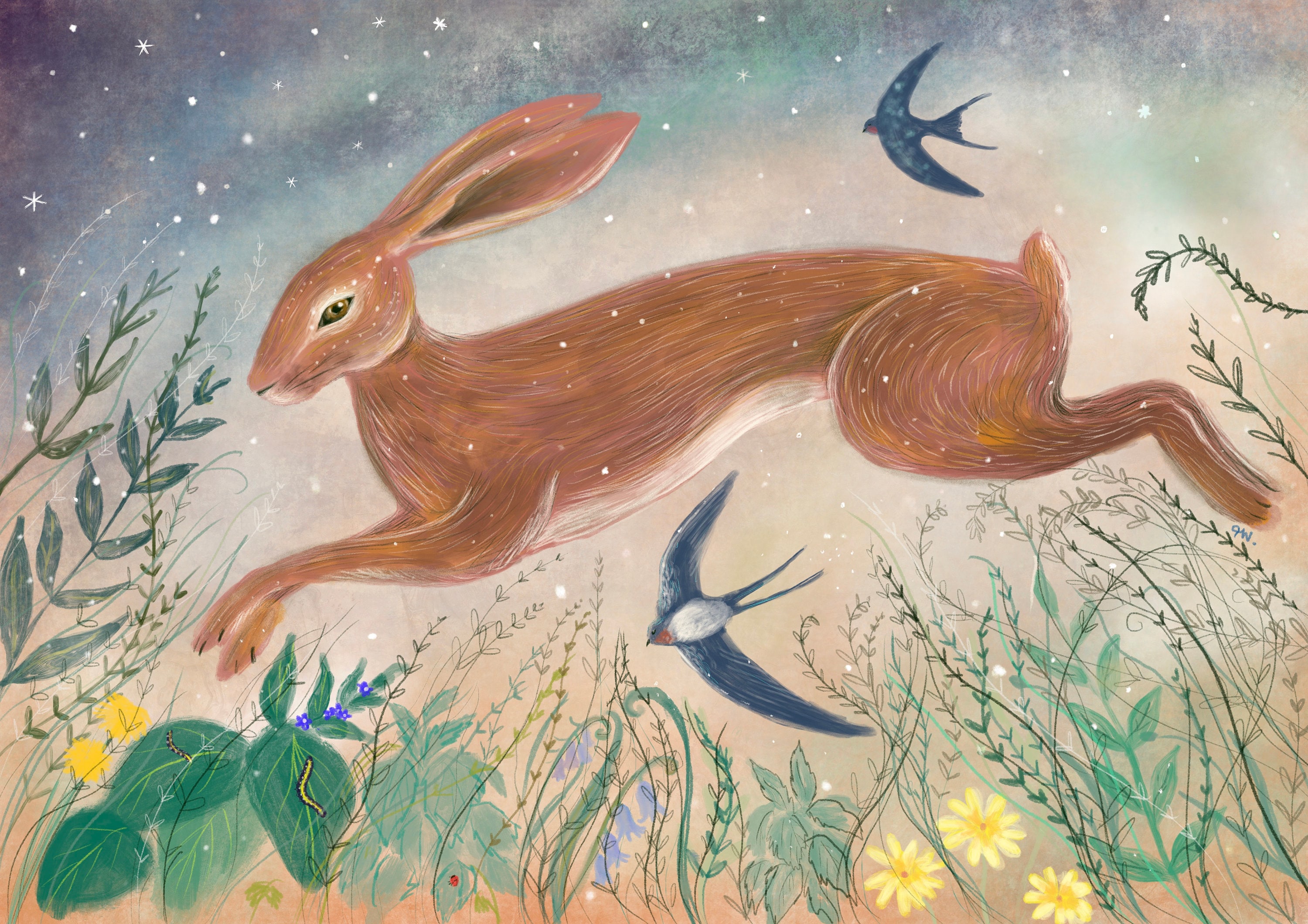 Hare Print, Hare With Summer Swallows - Etsy
