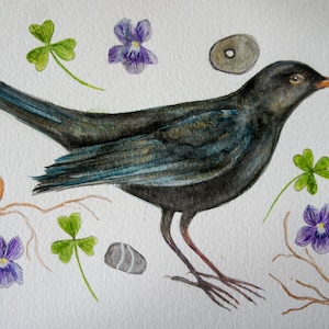 Original Watercolour Painting, Blackbird With Wood Sorrel And Wishing Stones, Bird Art