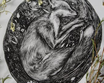Stampa artistica di volpe che sogna nella terra formato A4