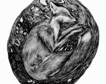 Fox Gifts Graphite Drawing, Original Art Print Titled "Dreaming In The Earth", A4 Art Print