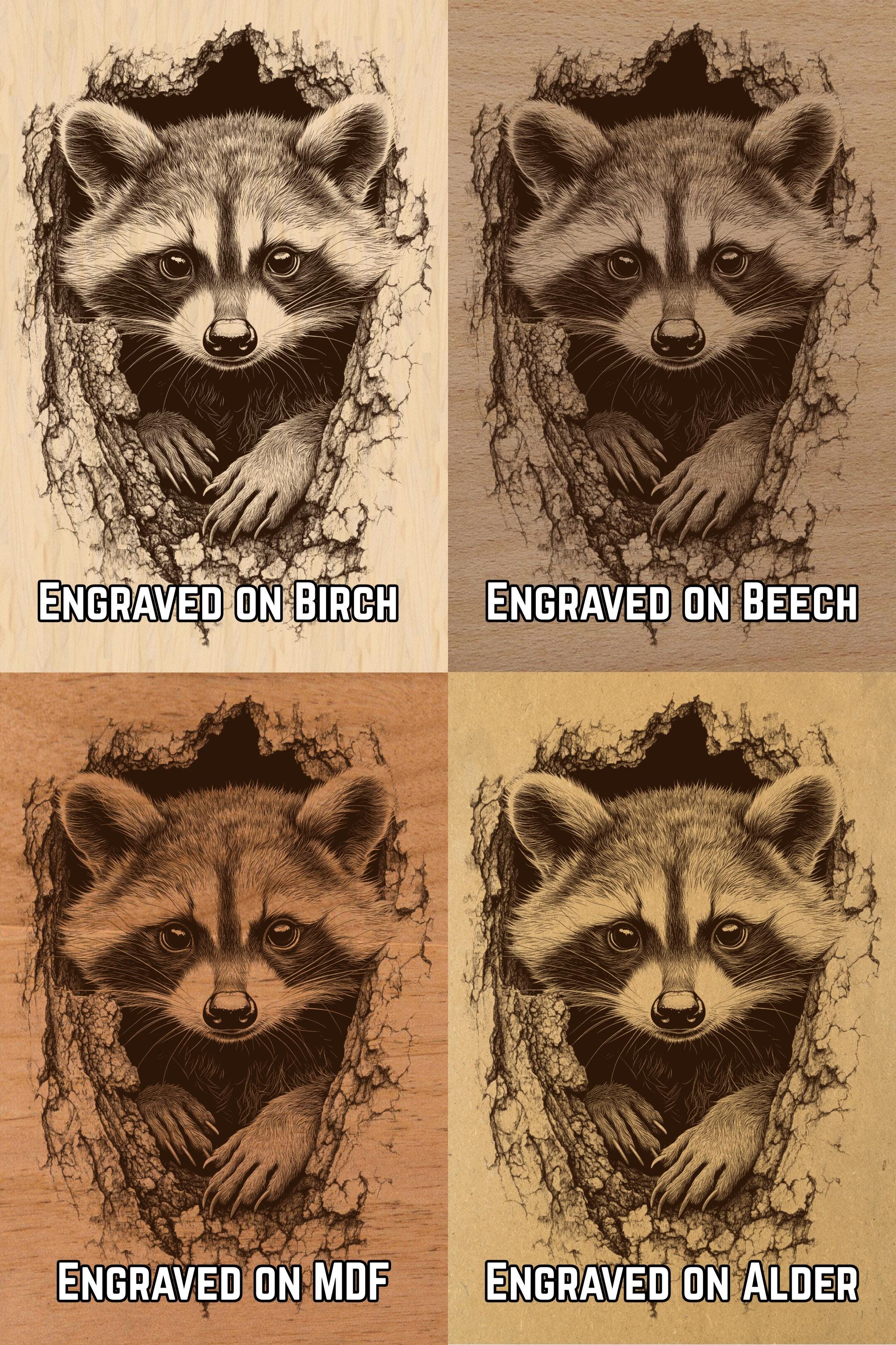 Raccoon Laser Engraving File - Ready to Engrave PNG - Trash Panda