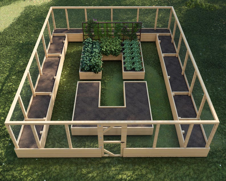 May include: A raised garden bed with a wooden frame and wire mesh fencing. The bed is divided into multiple sections, some with plants growing in them. There is a gate in the front of the bed.