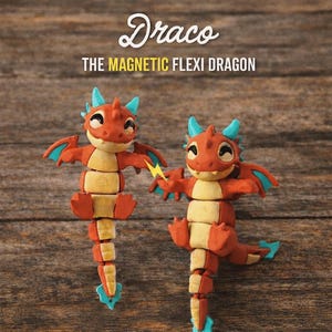May include: Two orange and yellow magnetic flexi dragons with blue accents. The dragons have articulated bodies and are posed on a wooden surface. The text "Draco" and "THE MAGNETIC FLEXI DRAGON" are displayed above the dragons.