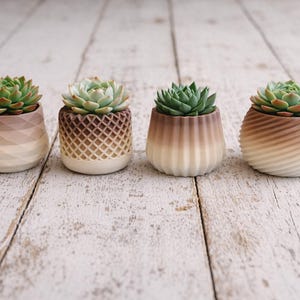 Succulent Pots Set of 4- 3D-Printed– Modern & Unique Home Decor, plants