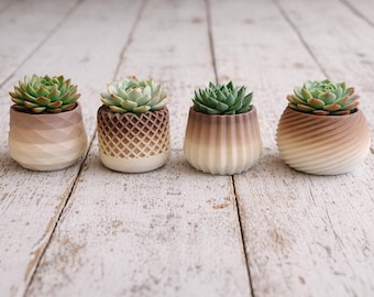 Succulent Pots Set of 4- 3D-Printed– Modern & Unique Home Decor, plants