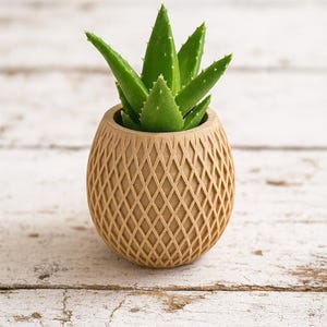 May include: A small green aloe vera plant in a decorative, light brown, diamond-patterned pot. The pot has a rounded shape and sits on a white, weathered wooden surface. The plant's spiky leaves contrast with the pot's texture.