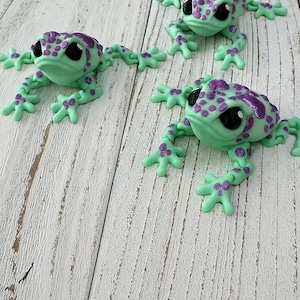 3D Printed Articulated Toad set of 3 - Frog Toy | Fidget Toy | Sensory Toy