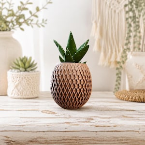 May include: A small, round, brown planter with a textured, diamond-shaped lattice exterior pattern. The planter holds a green succulent plant with pointed, fleshy leaves. The object is positioned centrally, showcasing its intricate, geometric, open-work design.