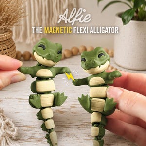 Magnetic Flexi Alligator Articulated Fidget Toy (2-Pack)  3D Printed Crocodile Figure Poseable Desk Toy Sensory Toy Magnetic Animal Gift
