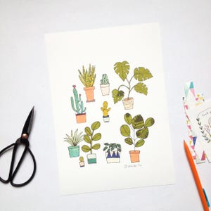 Plants poster, cactus, monstera illustration art print set of 2 plants posters image 2