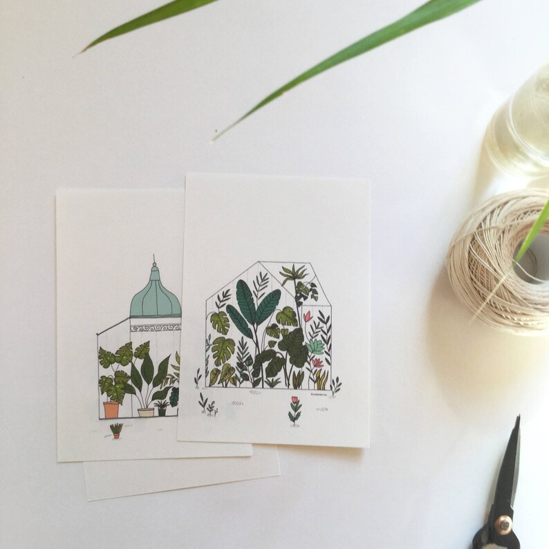 greenhouse 4 cards set Botanical cards