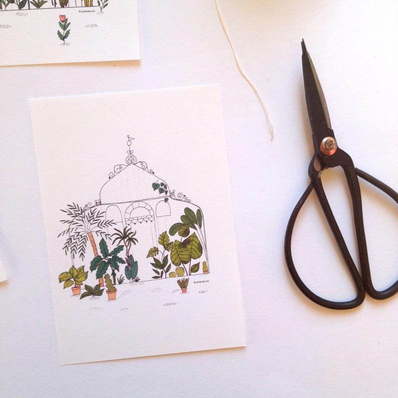 greenhouse 4 cards set Botanical cards