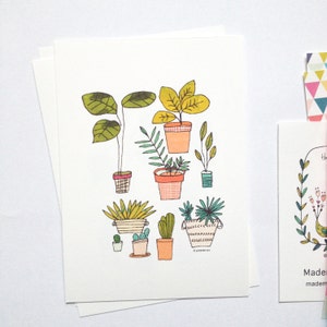 4 cartes avec des illustrations de plantes vertes, cactus