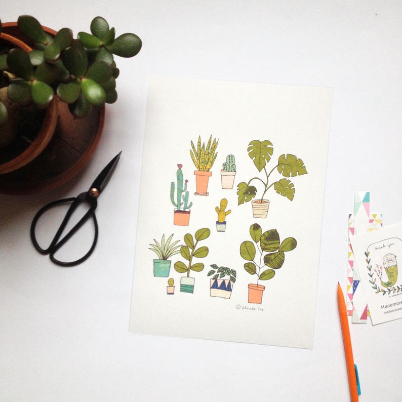 Plants poster, cactus, monstera illustration art print set of 2 plants posters image 4