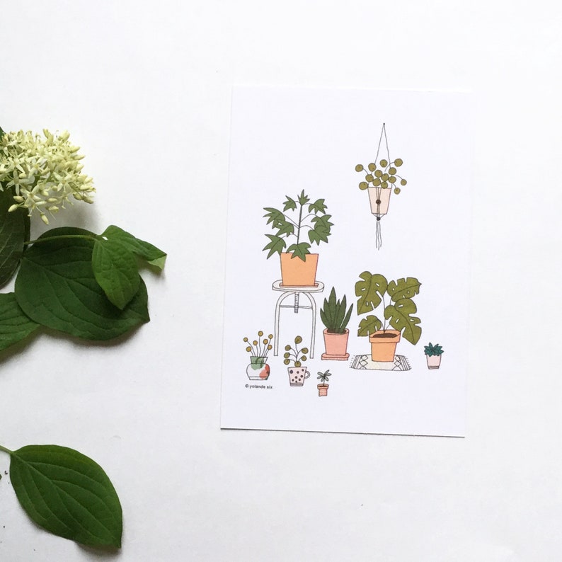 May include: A hand-drawn illustration of a collection of potted plants in various styles and sizes. The plants are drawn in a simple, minimalist style with a focus on the foliage and pots. The illustration is set against a white background.