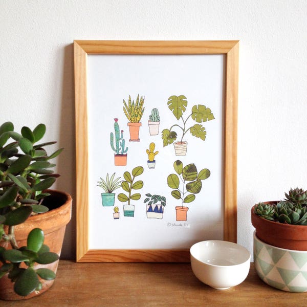 Plants poster, cactus, monstera illustration art print - set of 2 plants posters