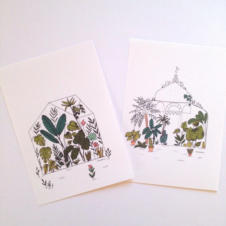 greenhouse 4 cards set Botanical cards
