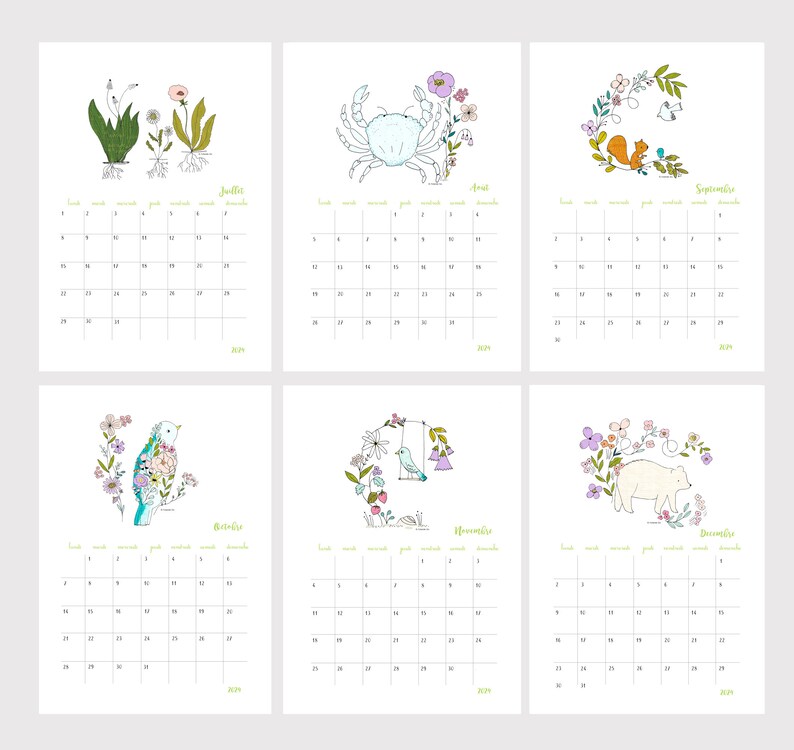 2024 calendar, 2024 wall calendar A4, 2024 illustrated calendar, birds, flowers illustrations image 5