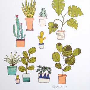 Plants poster, cactus, monstera illustration art print set of 2 plants posters image 3