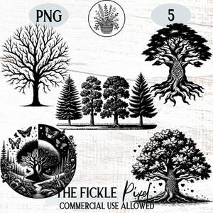 Forest Graphic PNG Bundle, Tree Silhouette, Pine Tree, Christmas Tree, Spruce, Cut File, Laser Silhouette, Instant Download