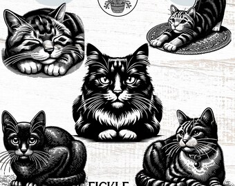 Cat Breeds Clipart, Kitten Graphics, Sublimation PNG Bundle (Commercial License)