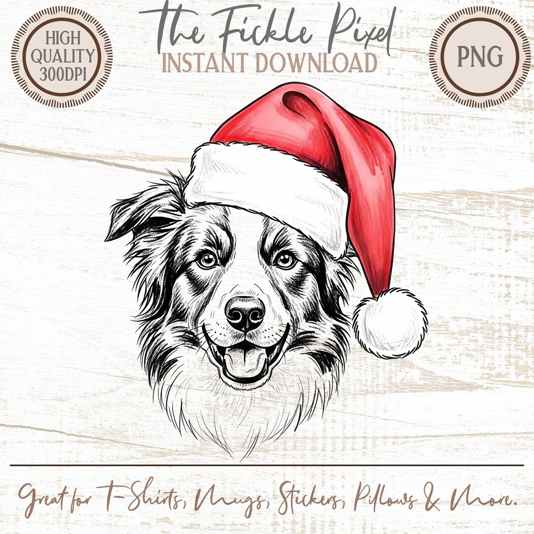 Border Collie Santa Hat PNG, Christmas Dog Clipart, Holiday Pet Art ...