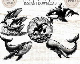 Whales PNG Clipart Bundle, Orca, Blue Whale (Commercial Use)