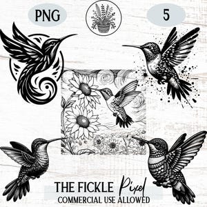 Hummingbird Png Graphics Set, Hummingbird Cricut, Bird Clip Art, Hummingbird Clipart, File For Engraving