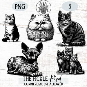 Cat PNG Bundle, Cat Breeds Clipart, Kitten Graphics PNG, Sublimation, Cats, Commercial License, pod Graphics, Laser and Cricut Files