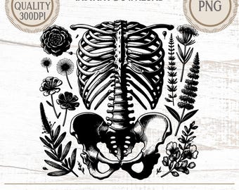 Floral Skeleton PNG: Chiropractor Clip Art (Digital Download)