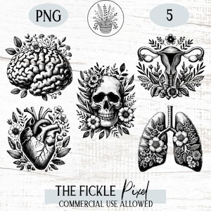 Anatomy Flower Clipart PNG Bundle | Floral Brain, Heart & Lungs | Science Medical Art for Shirts, Prints and  More | Commercial Use