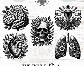 Anatomy Flower Clipart PNG Bundle | Floral Brain, Heart, Lungs, Skull (Commercial Use)
