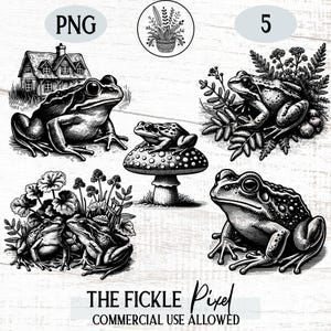 Frog & Toad PNG Graphics Bundle, Vintage Toad Tattoo, Frog Botanical Illustration Laser Engraving and Print-on-Demand, Commercial Use