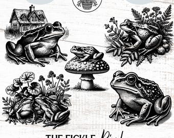 Paquete de gráficos PNG de tatuaje de rana vintage, ilustración botánica (descarga digital)
