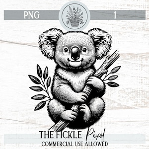 Vintage Koala on Bamboo SVG PNG | Storybook Style Koala Bear Clipart | High-Quality 300DPI | Instant Download | Commercial Use Included