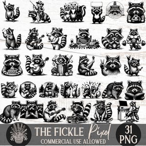 Paquete de PNG SVG retro sarcásticos de mapache, diseño divertido de mapache, frase sarcástica de animal, mapache de moda PNG, gráfico de camiseta para uso comercial