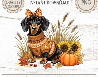 May include: A digital illustration of a black and tan dachshund wearing an orange patterned sweater and a matching bow, surrounded by wheat stalks, sunflowers, a pumpkin, and autumn leaves, with text reading The Fickle Pixel.