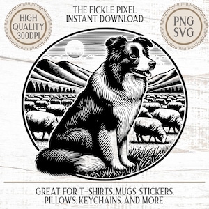 Border Collie Graphic, Sheep Dog Vector, Laser Cut File (Digital Download)