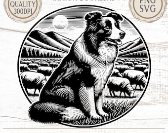 Grafica Border Collie, vettore cane da pastore, file tagliato al laser (download digitale)
