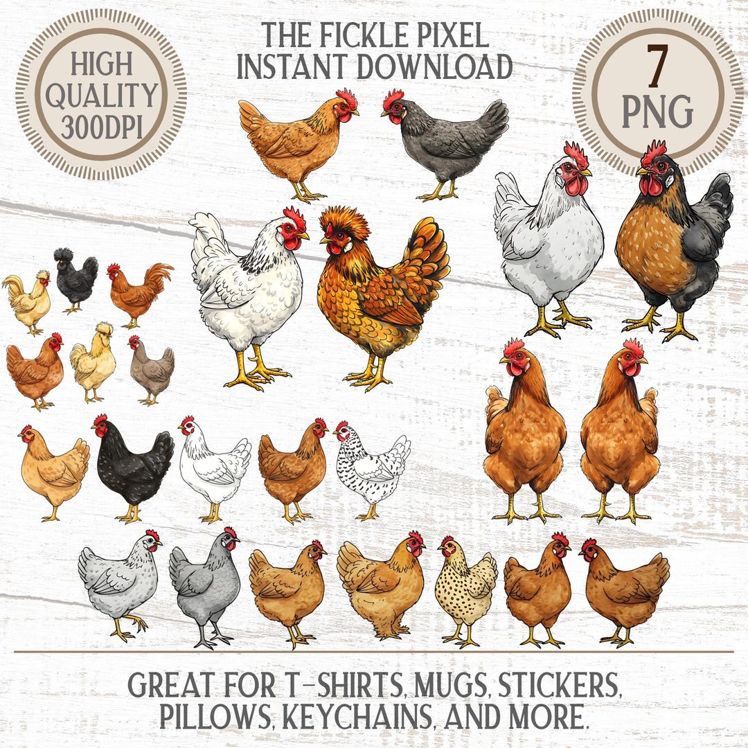 Watercolor Chicken Clipart: Farm Hen Graphics, Sublimation Designs ...