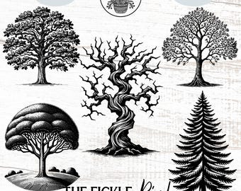 Tree Seasons PNG Clipart Bundle, Cricut Cut Files (Commercial)