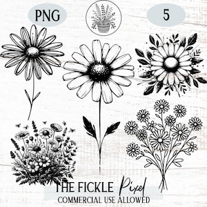 デイジーの花の線画PNGバンドル、デイジーの植物、クリップアート、春の花、ベクターデイジー、商用利用、レーザーおよびクリカットカットファイル