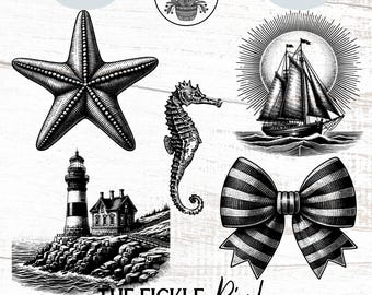 Vintage Nautical Clipart PNG, Coastal Sea Life Illustrations (Digital File)