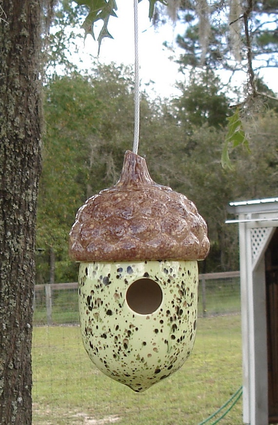 Acorn Bird House Mint Chip Etsy