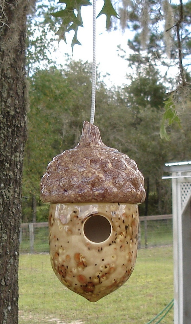 Acorn Bird House Safari Etsy