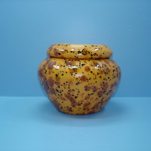 Tapered Round African Violet Pot, Self Watering Planter, Papaya